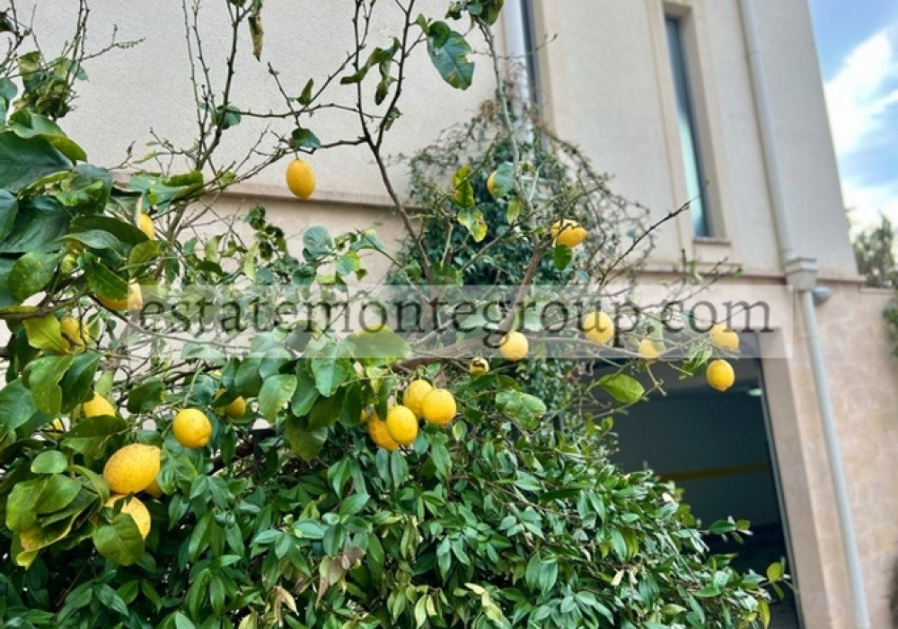 Budva Riviera, Przno district. Two bedroom apartmentDistance to the sea 700m.Area 120 sq.m.sea viewFloor - fourthThe house is not equipped with an ...