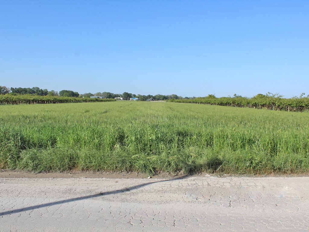 Verkauf Land 8000 m² an der Olympischen-Riviera