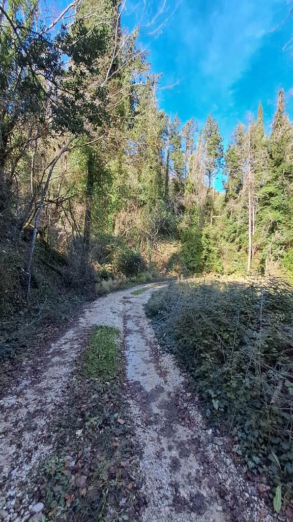 Verkauf Land 95095 m² auf Korfu