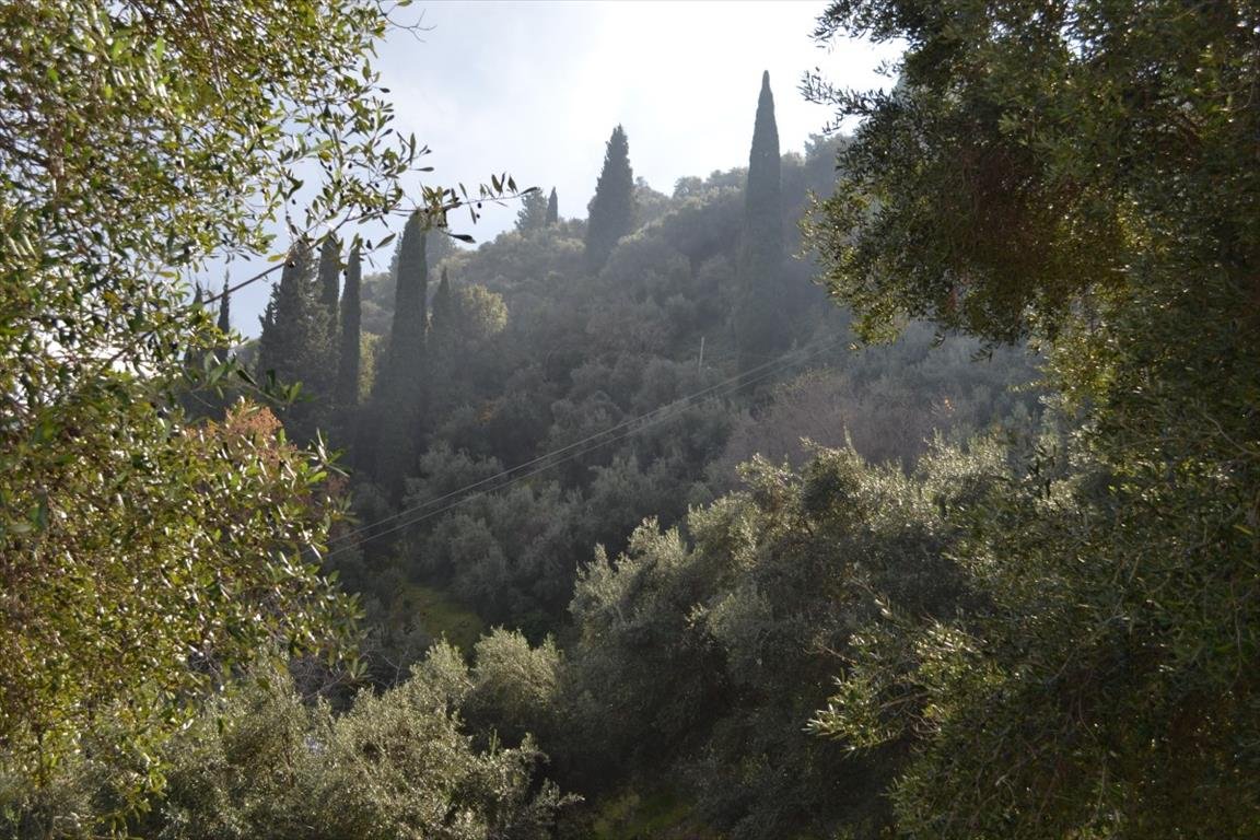 Verkauf Land 4420 m² auf Korfu