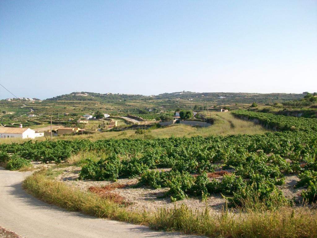 Moraira: Big plot near Moraira and its beaches where it is possible to build a big private villa with swimming pool. 