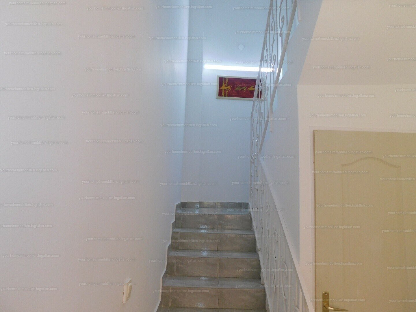 Zalakaros: in ZALAKAROS, the best SPA town of Europe, big house of 5 separate apartments 