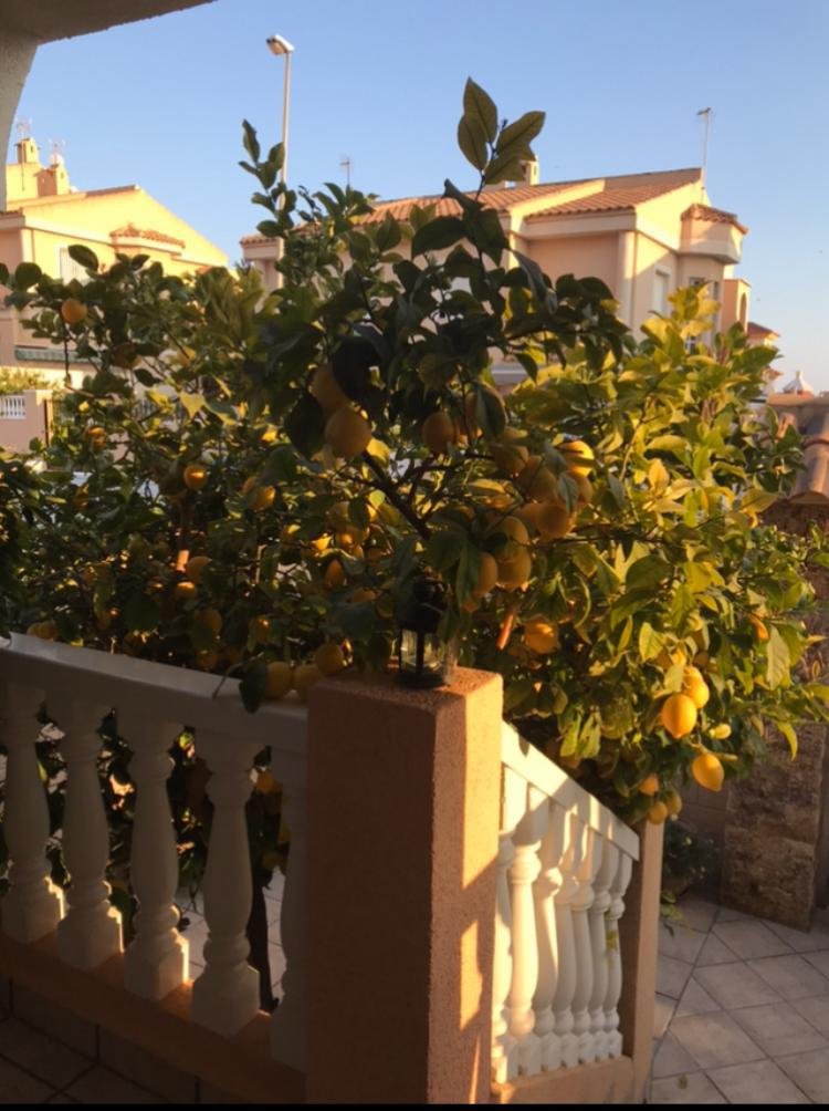 Introducing a cozy house, just 500 meters from the sea in the city of Puerto de MazarrónThe house has an area of 202 m², on a plot of 312 m². The hous