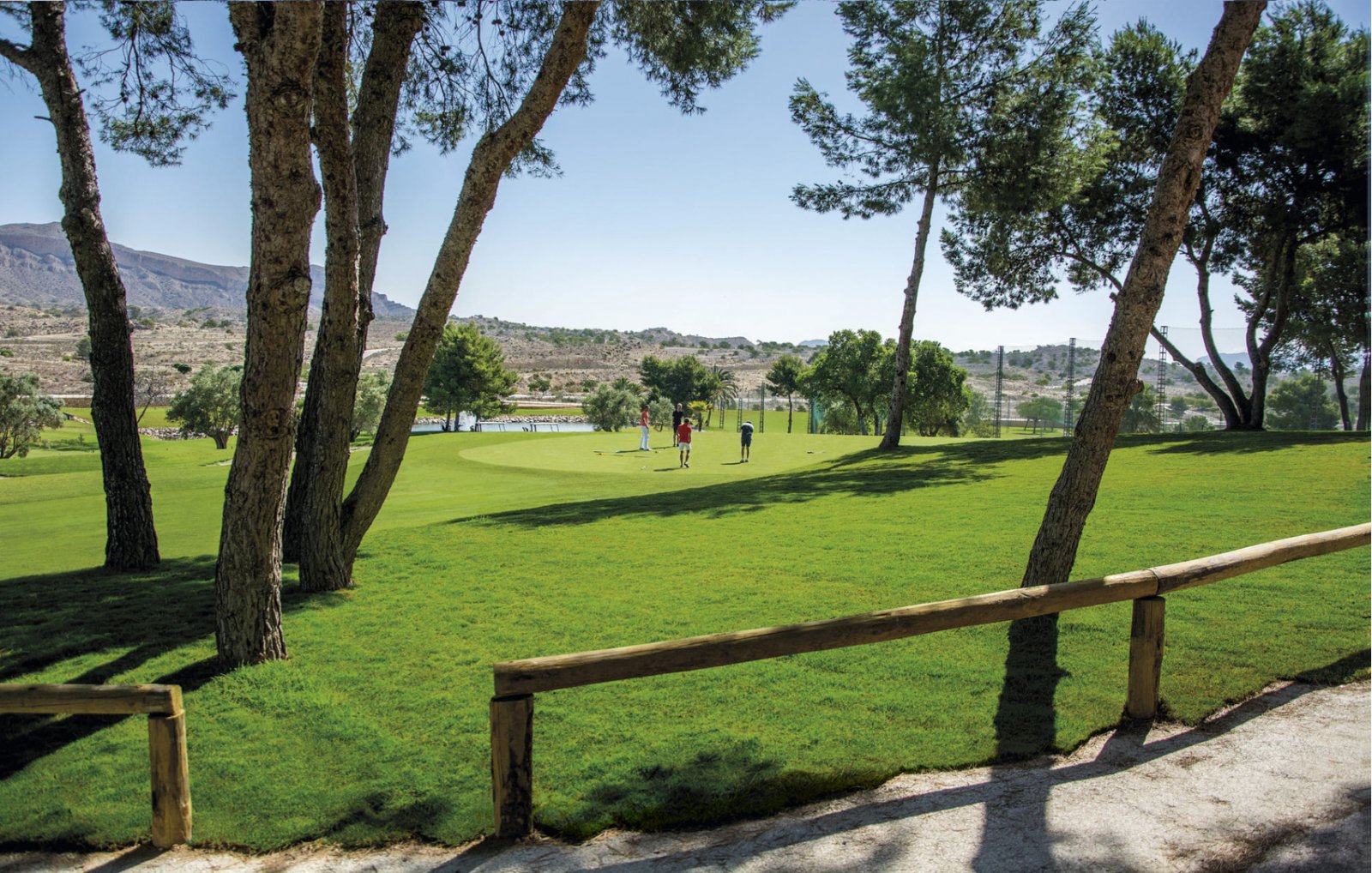 We present apartments in a beautiful residential complex in the suburb of Alicante in the town of Monforte del Cid.Monforte del Cid is the perfect tow