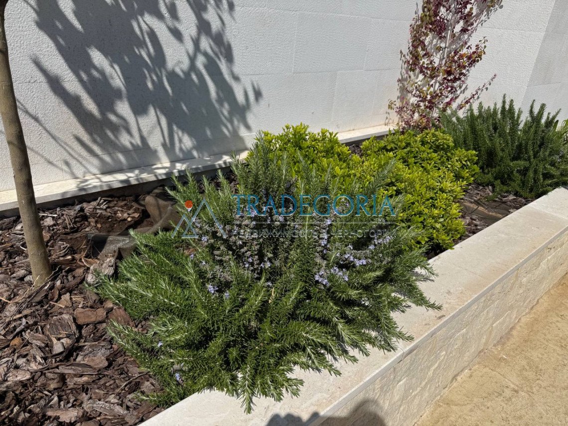 <h2>description</h2><p>Cozy studio with sea view in Bar for sale</p><p> Location: Bar is a popular coastal town with developed infrastructure. • Dista