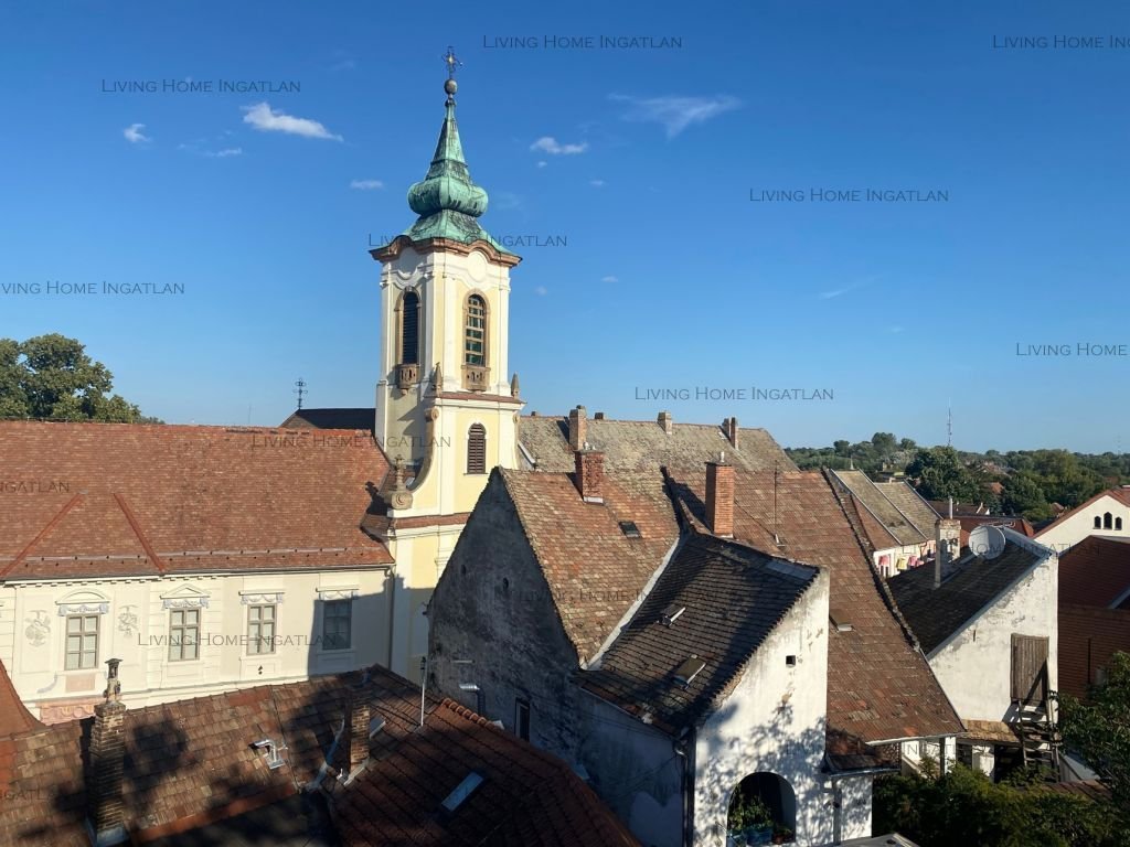 <p>Szentendre belvárosában 101 nm-es ház 270 nm-es telken eladó.</p>

<p>Az ingatlan alsó része üzletként működött, a felső szintet a 2000-es évek ele