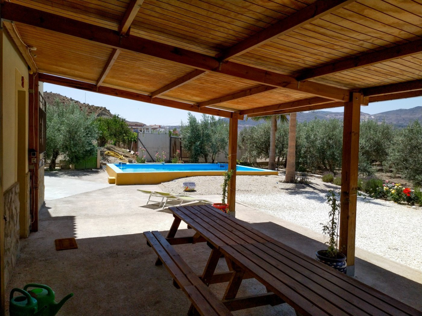  More than 65 olive trees and 40 orange trees are planted on the farm. There is a well to water the plants and to fill the pool. 