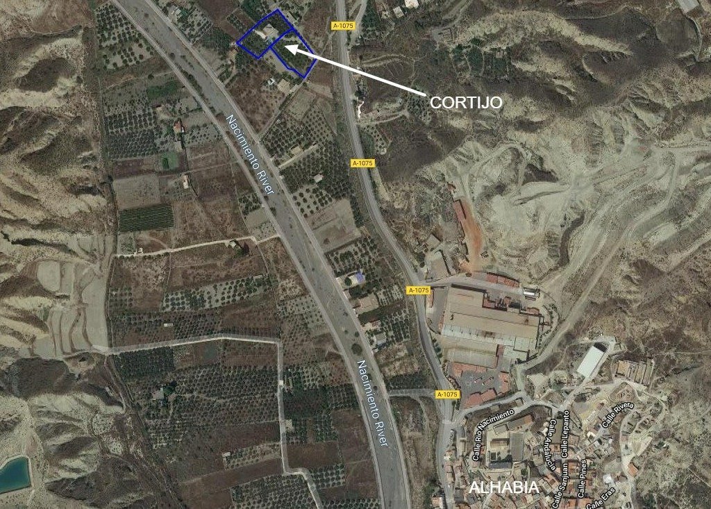  More than 65 olive trees and 40 orange trees are planted on the farm. There is a well to water the plants and to fill the pool. 