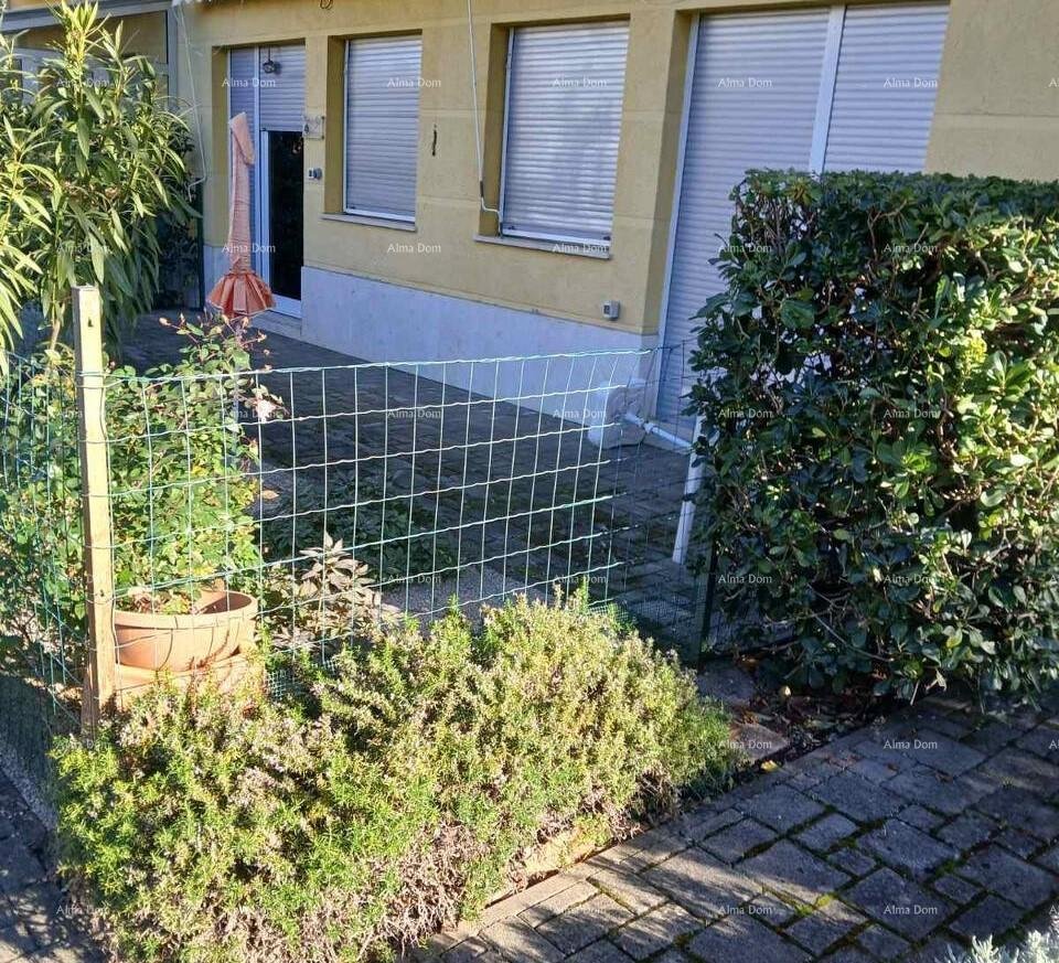 Wohnung Verkauf von Erdgeschosswohnung in Umag