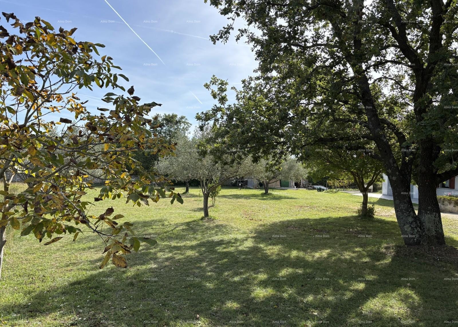 Vodnjan: Bauland VODNJAN – Verkauf/Baugrundstück ca. 700 m² 