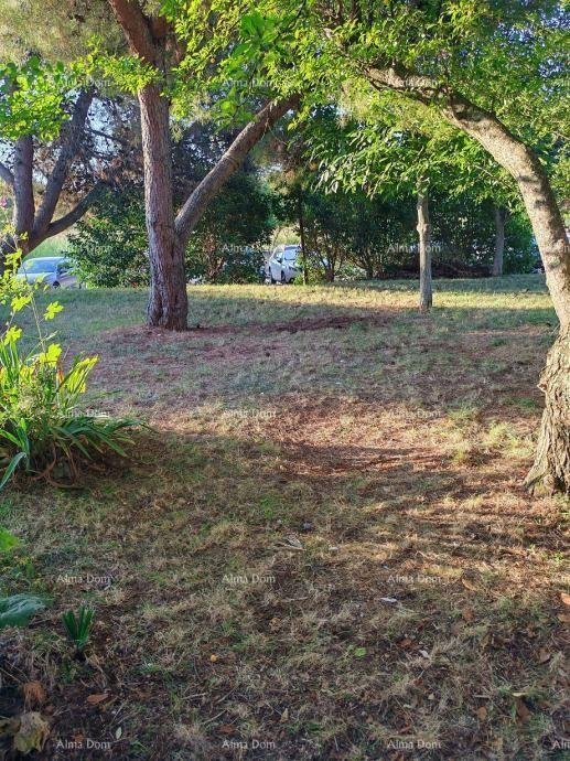 Wohnung Möblierte Wohnung mit Garten zu verkaufen!