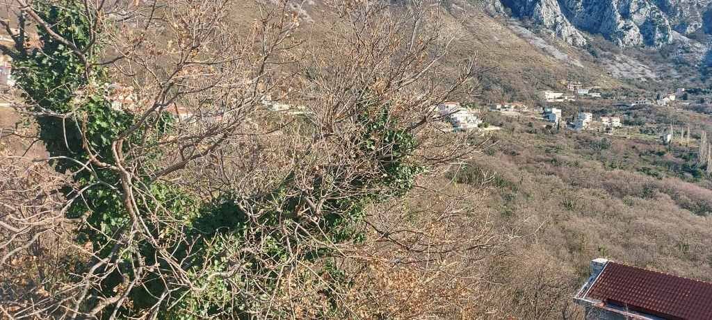 Plot in Blizikuce, Sveti Stefan, Budva<br><br><p>Land for sale in Blizikuce with sea view. 
	 The plot has a total area of ​​1,185m2 on which can be b