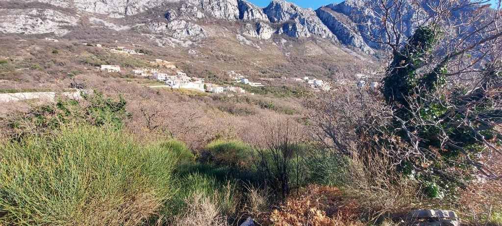 Plot in Blizikuce, Sveti Stefan, Budva<br><br><p>Land for sale in Blizikuce with sea view. 
	 The plot has a total area of ​​1,185m2 on which can be b