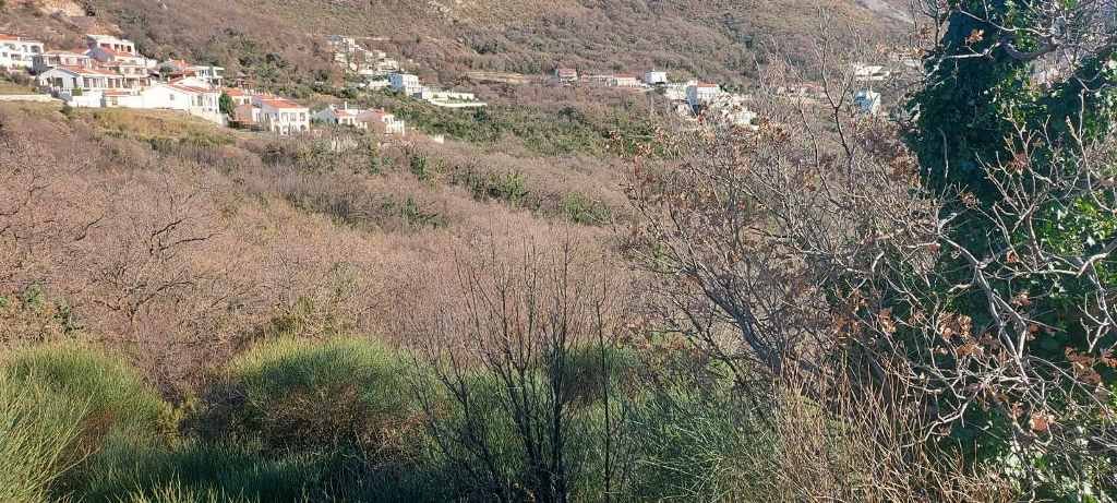 Plot in Blizikuce, Sveti Stefan, Budva<br><br><p>Land for sale in Blizikuce with sea view. 
	 The plot has a total area of ​​1,185m2 on which can be b