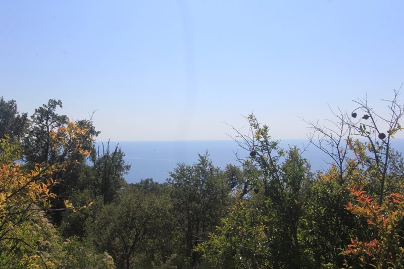 Land in Rezevici<br><br><p>Plot for sale in Budva, Rezevici district. The plot with a total area of 845 m2 is located 700 m from the sea. The site is 