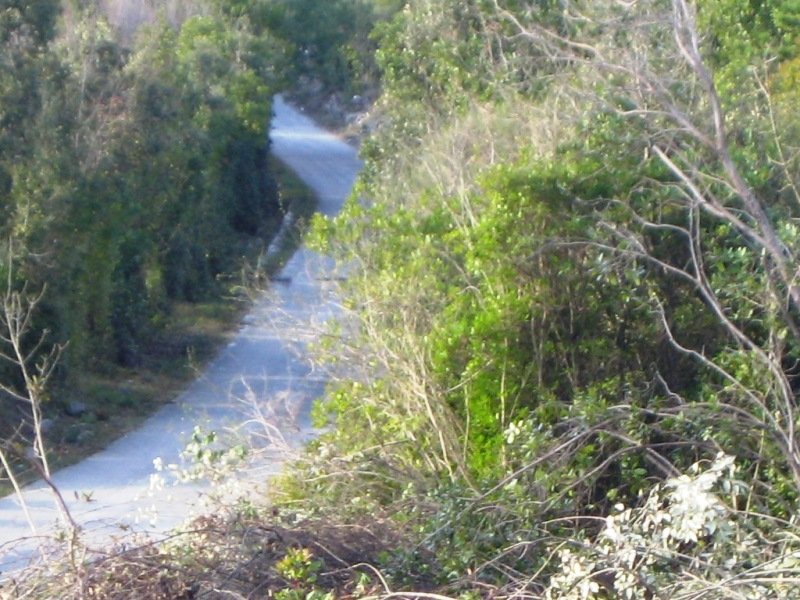 Kotor: Land in Kotor with sea view<br><br><p>Large plot with sea view for sale. The site is located in the area of Grbalj, municipality of Kotor, about 4 km  