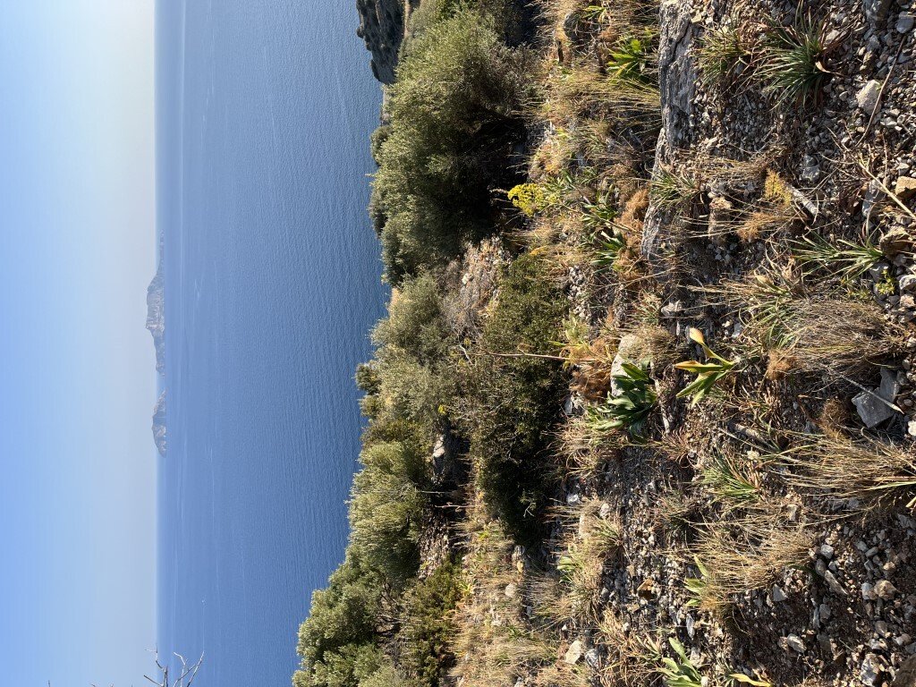 Kreta: Verkauf Land 4100 m² auf Kreta 