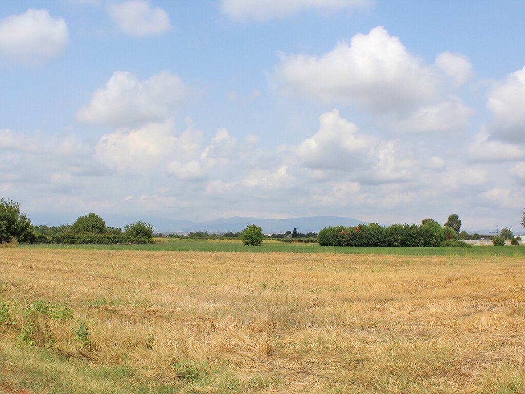 Olympische Riviera: Verkauf Land 13750 m² an der Olympischen-Riviera 
