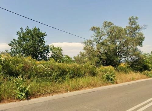 Korfu: Verkauf Land 8350 m² auf Korfu 