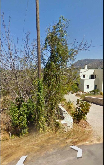 Kreta: Verkauf Land 1282 m² auf Kreta 