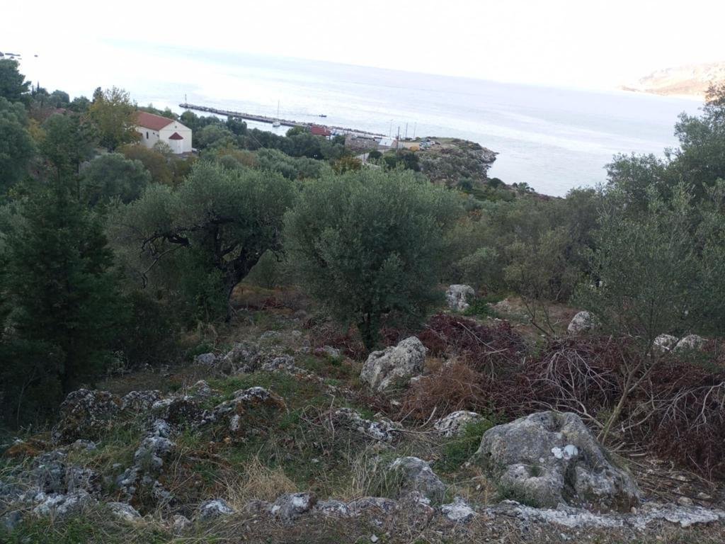 Ionische Inseln: Verkauf Land 1170 m² auf den Ionischen Inseln 