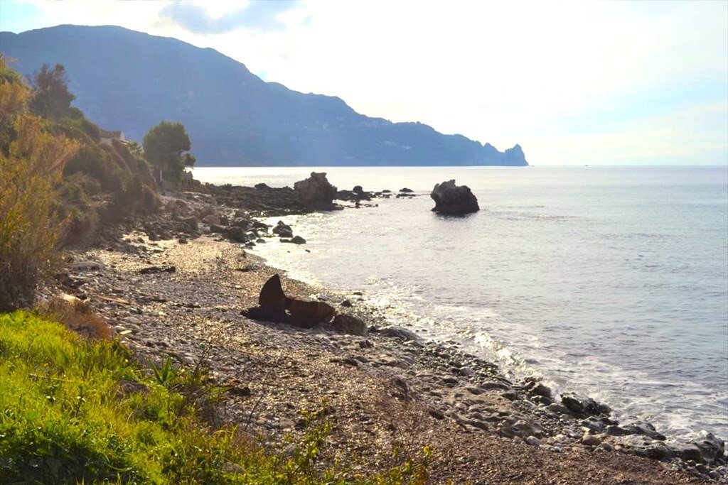 Verkauf Land 10959 m² auf Korfu