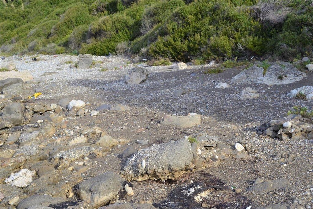 Verkauf Land 10959 m² auf Korfu