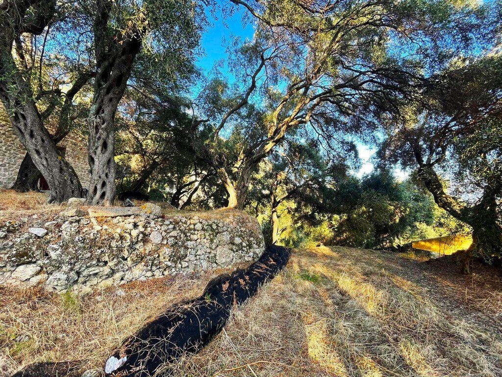 Verkauf Land 1035 m² auf Korfu