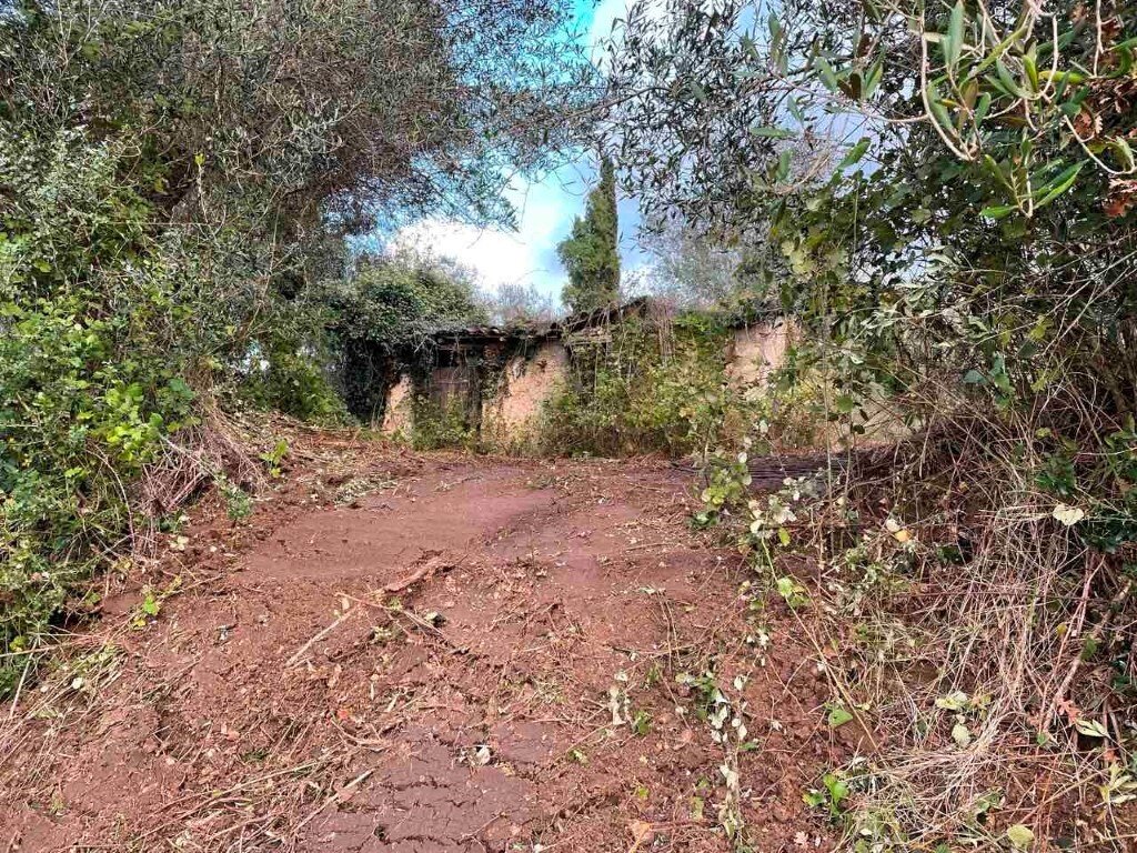 Verkauf Land 4028 m² auf Korfu