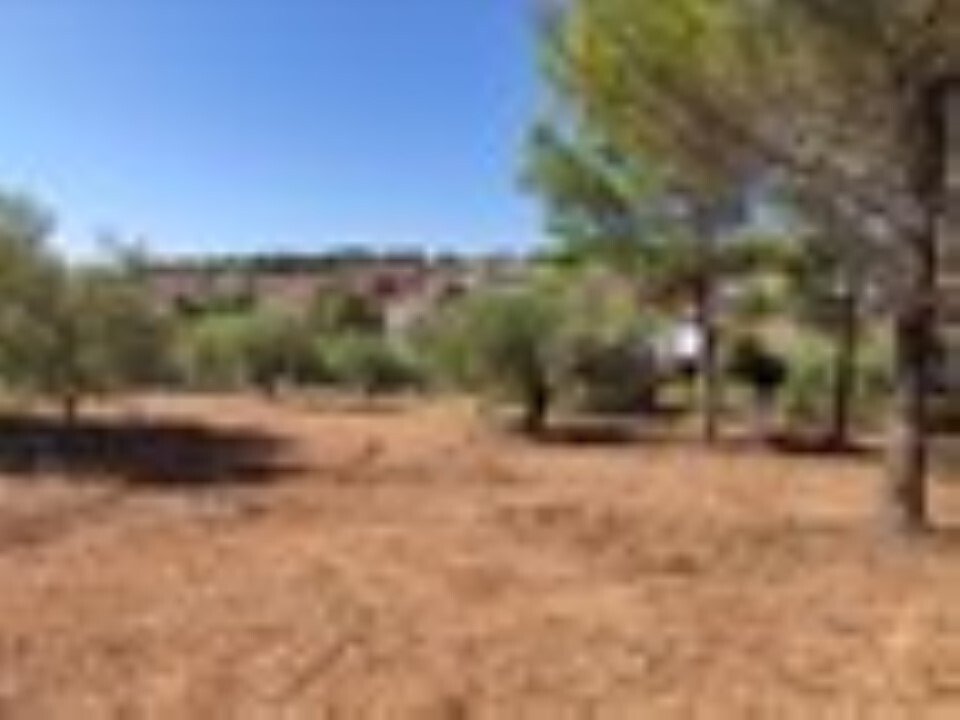 Verkauf Land 3208 m² auf Sithonia (Chalkidiki)