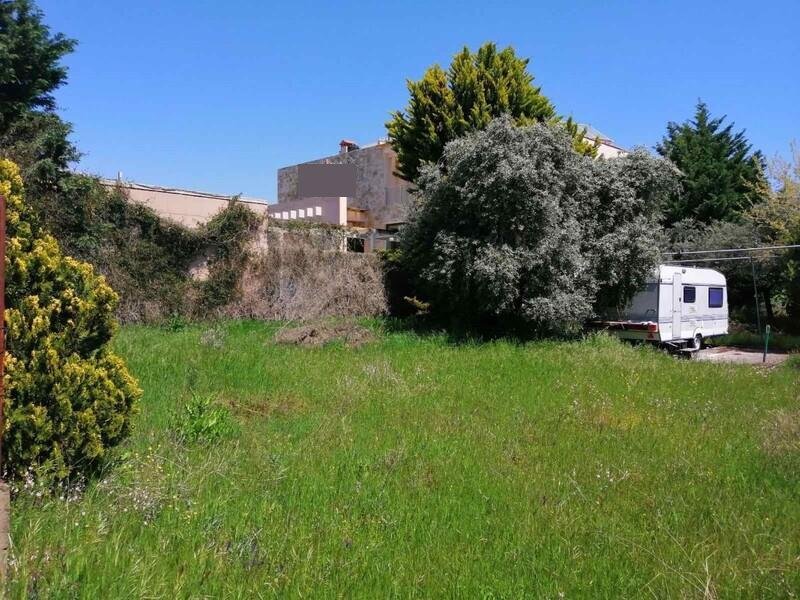 Thassos: Verkauf Land 369 m² auf Thassos 