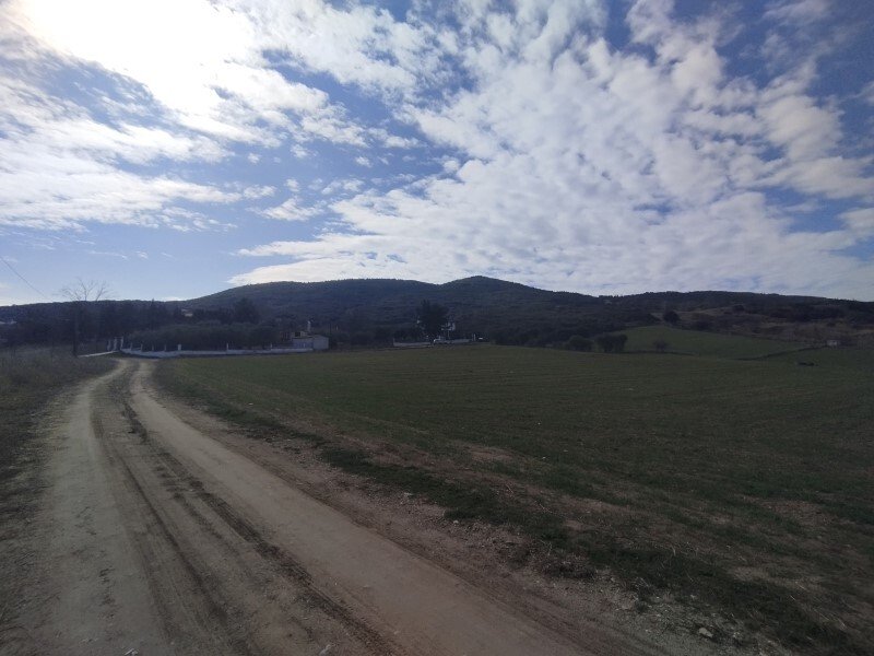 Thessaloniki: Verkauf Land 6000 m² in den Vororten von Thessaloniki 