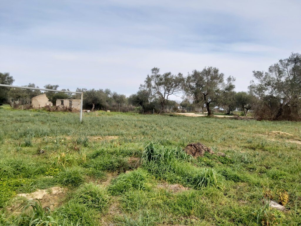 Verkauf Land 2078 m² auf Korfu 