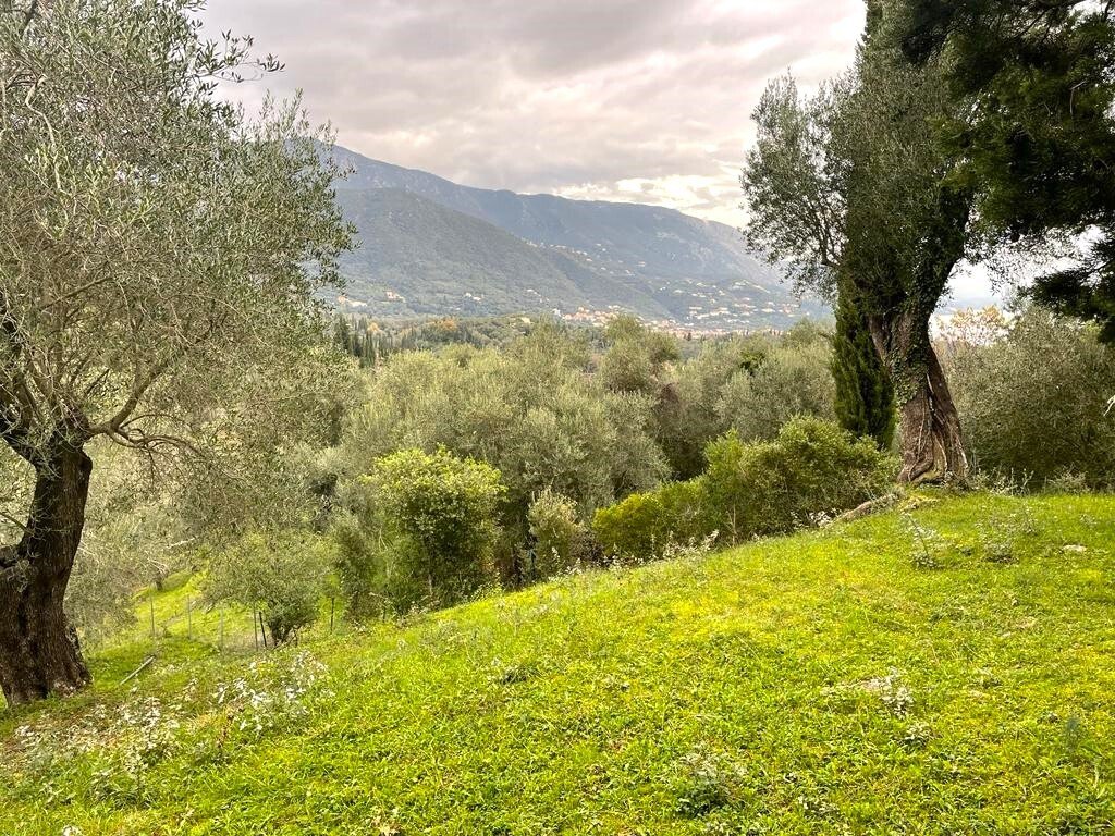 Korfu: Verkauf Land 2463 m² auf Korfu 