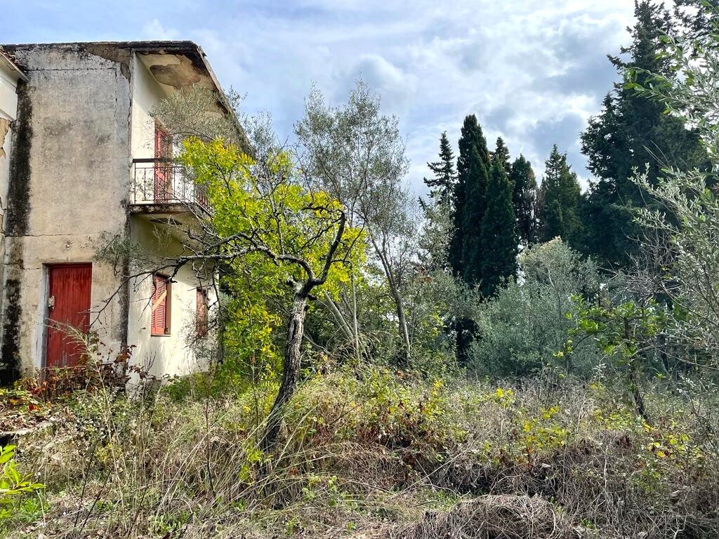 Verkauf Land 12000 m² auf Korfu