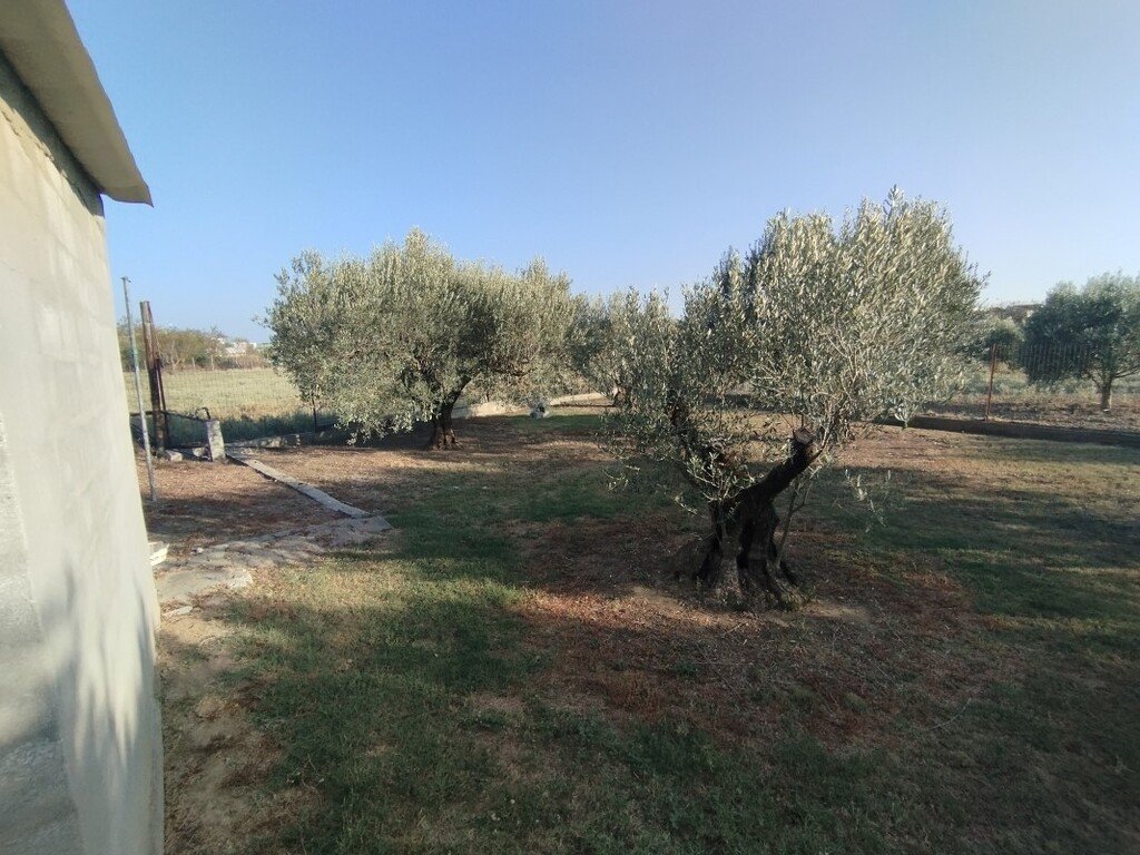 Verkauf Einfamilienhaus 300 m² in den Vororten von Thessaloniki