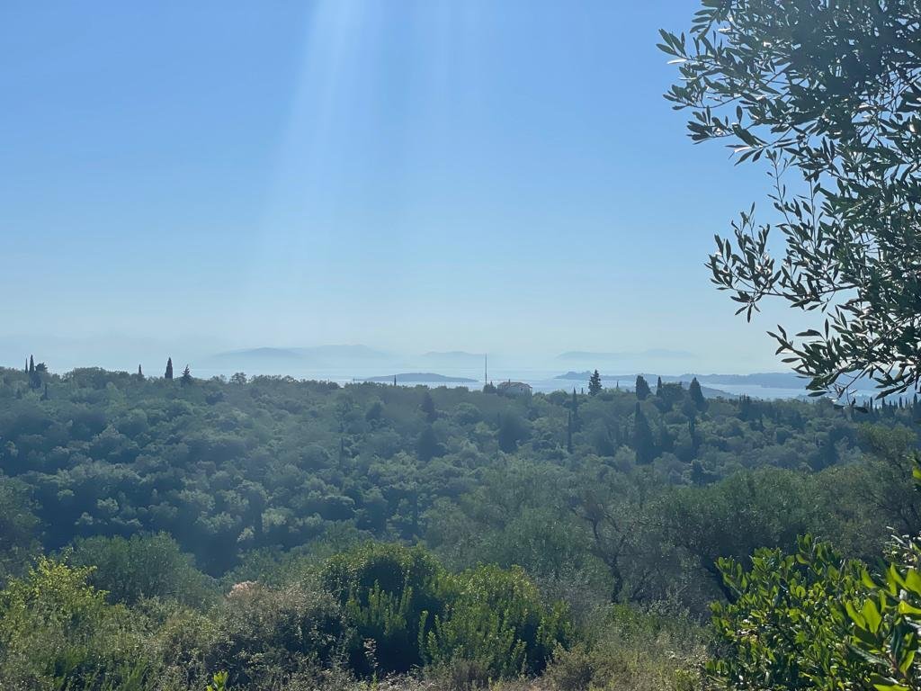 Verkauf Land 2569 m² auf Korfu