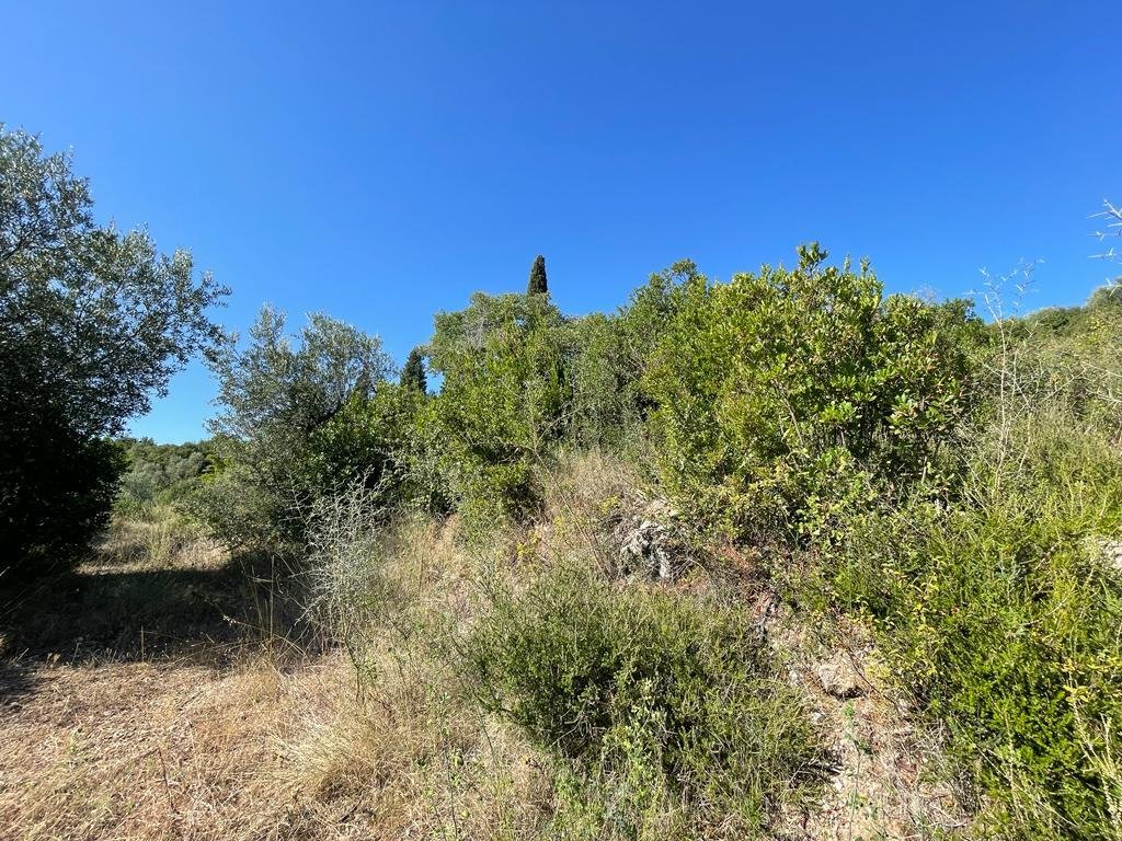 Verkauf Land 2569 m² auf Korfu