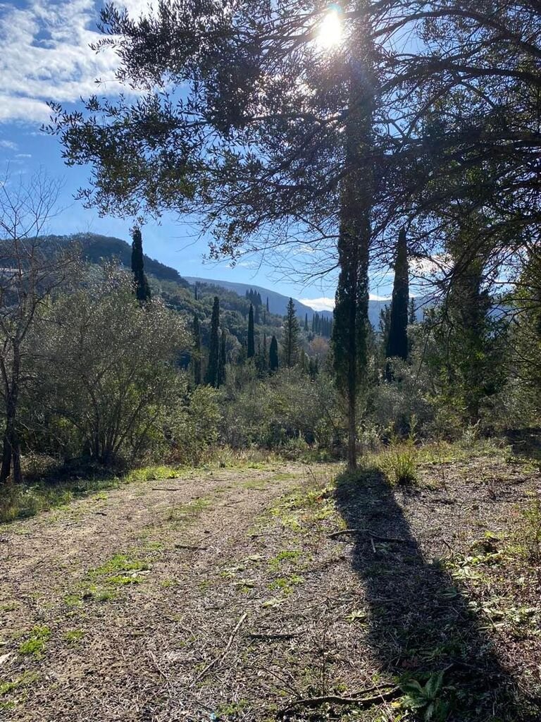 Verkauf Land 95095 m² auf Korfu