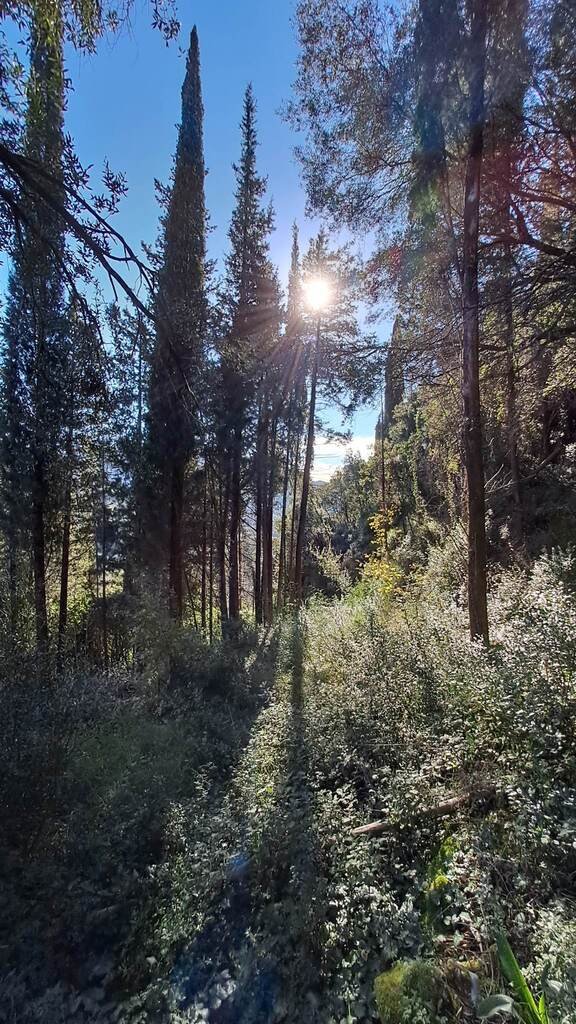 Verkauf Land 95095 m² auf Korfu