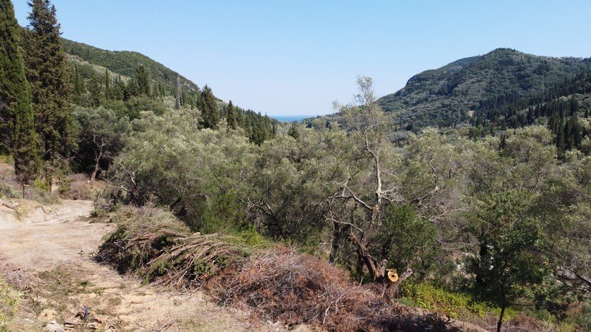 Verkauf Land 8500 m² auf Korfu