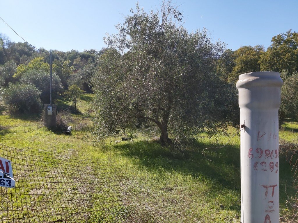 Verkauf Land 6500 m² auf Korfu