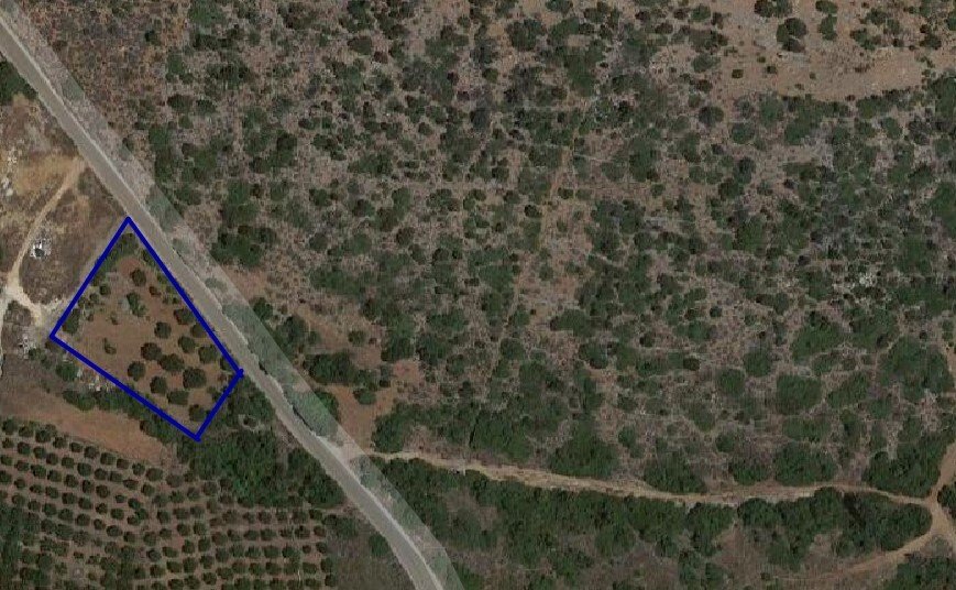 Kreta: Verkauf Land 2375 m² auf Kreta 