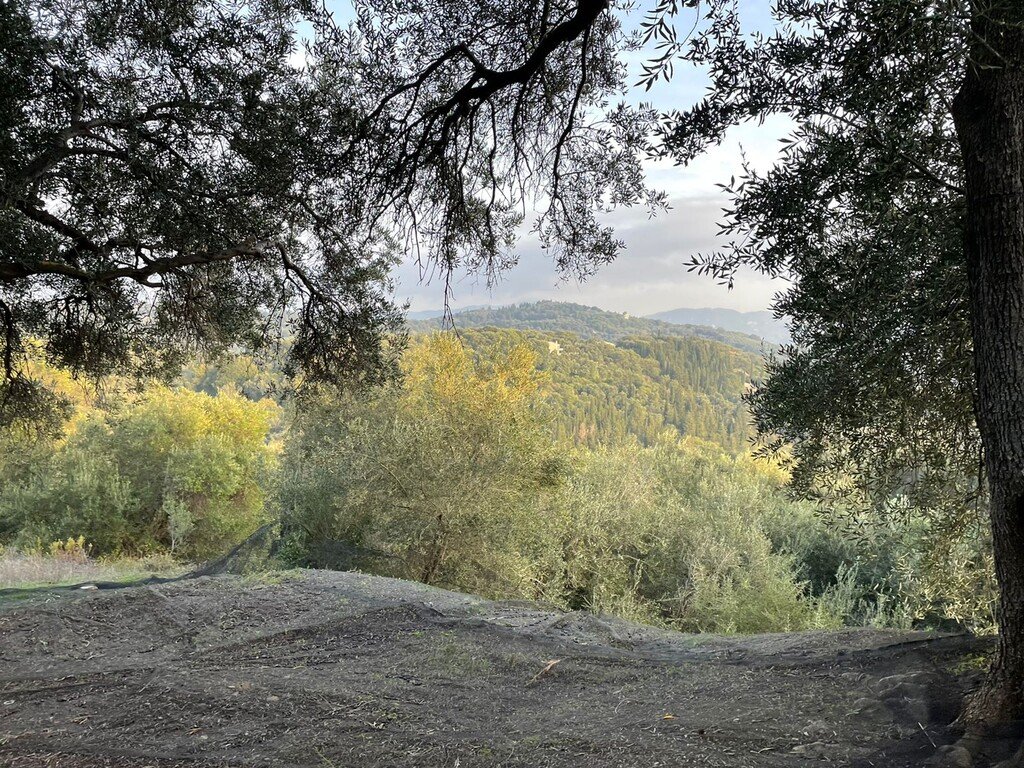 Korfu: Verkauf Land 4027 m² auf Korfu 