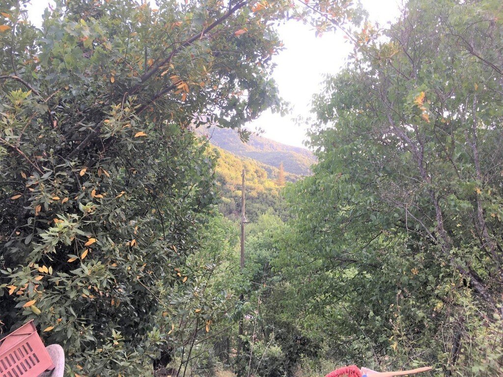 Verkauf Einfamilienhaus 80 m² in Epirus