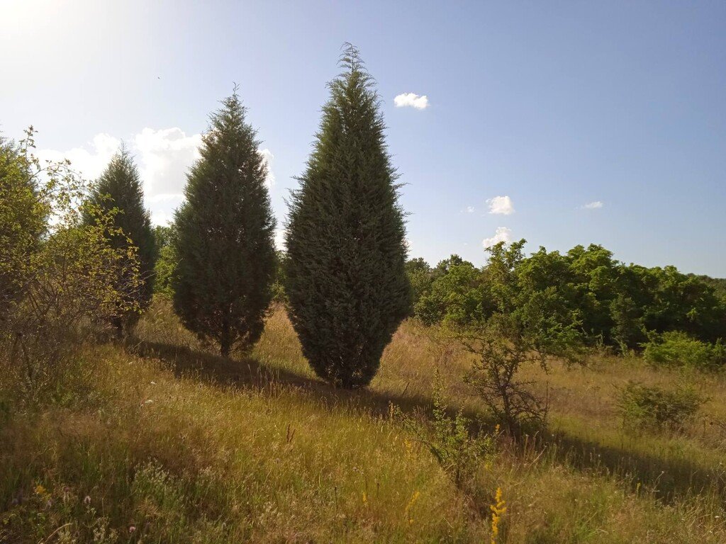 Verkauf Einfamilienhaus 300 m² in den Vororten von Thessaloniki
