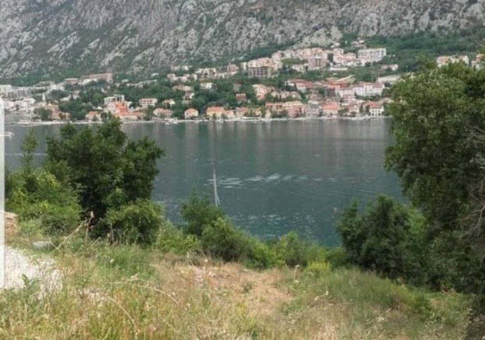 kotor: Plot area 979 sq.m.

Distance to the sea 100m.

The plot is urbanized, legalized.

The site has no encumbrances from the state and from individuals.

 