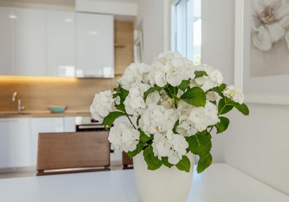 Boka Kotor Bay, Baoshichi district.  The apartment is in a new residential complex.

In each house of the complex, there are only 10 luxury apartments