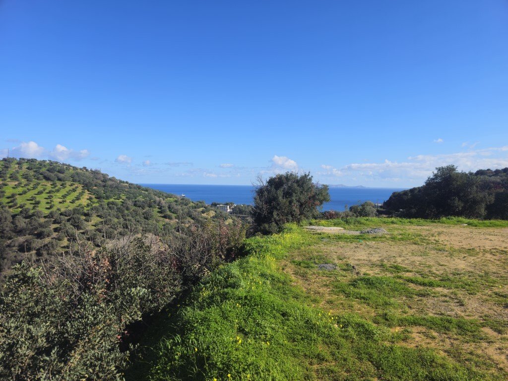 Verkauf Land 12329 m² auf Kreta