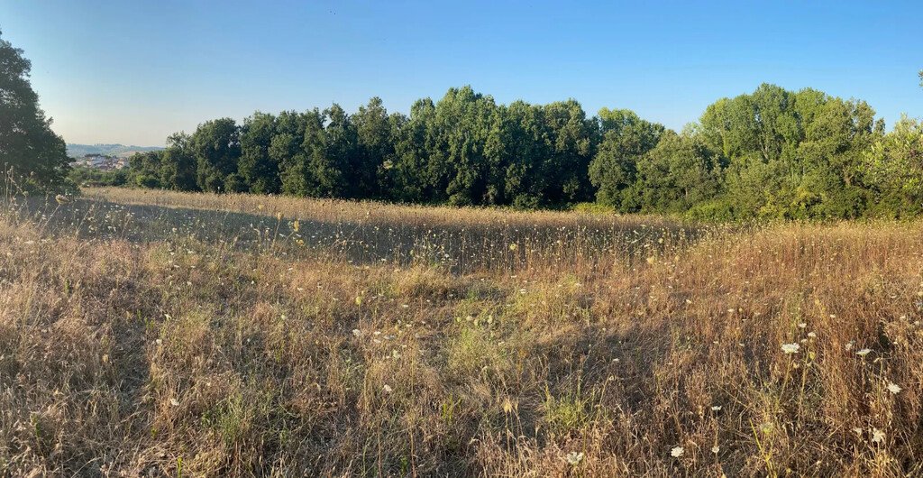 Verkauf Land 6159 m² auf Kassandra (Chalkidiki)